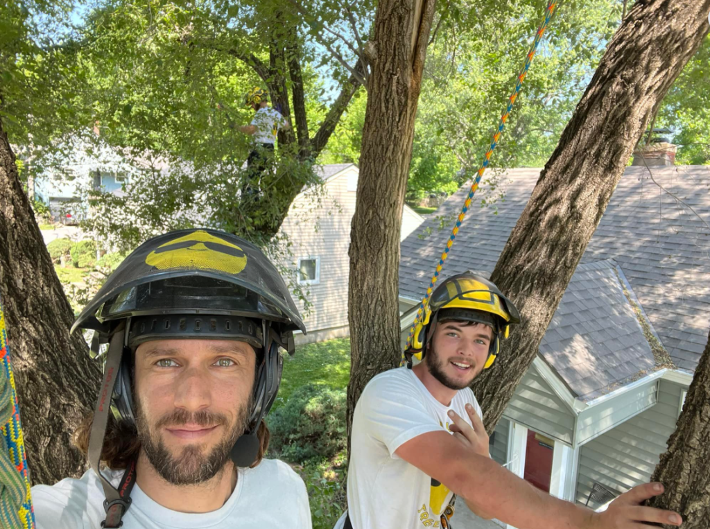 How to Choose a Certified Arborist in KC | Happy Lemon Service